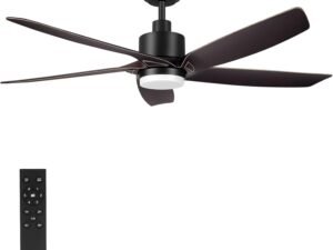 56" Ceiling Fans with Lights and Remote Control-5 Reversible Carved ABS Blades, 6-Speed Noiseless DC Motor, Modern Ceiling Fan in Matte Finish with Indoor/Outdoor DC